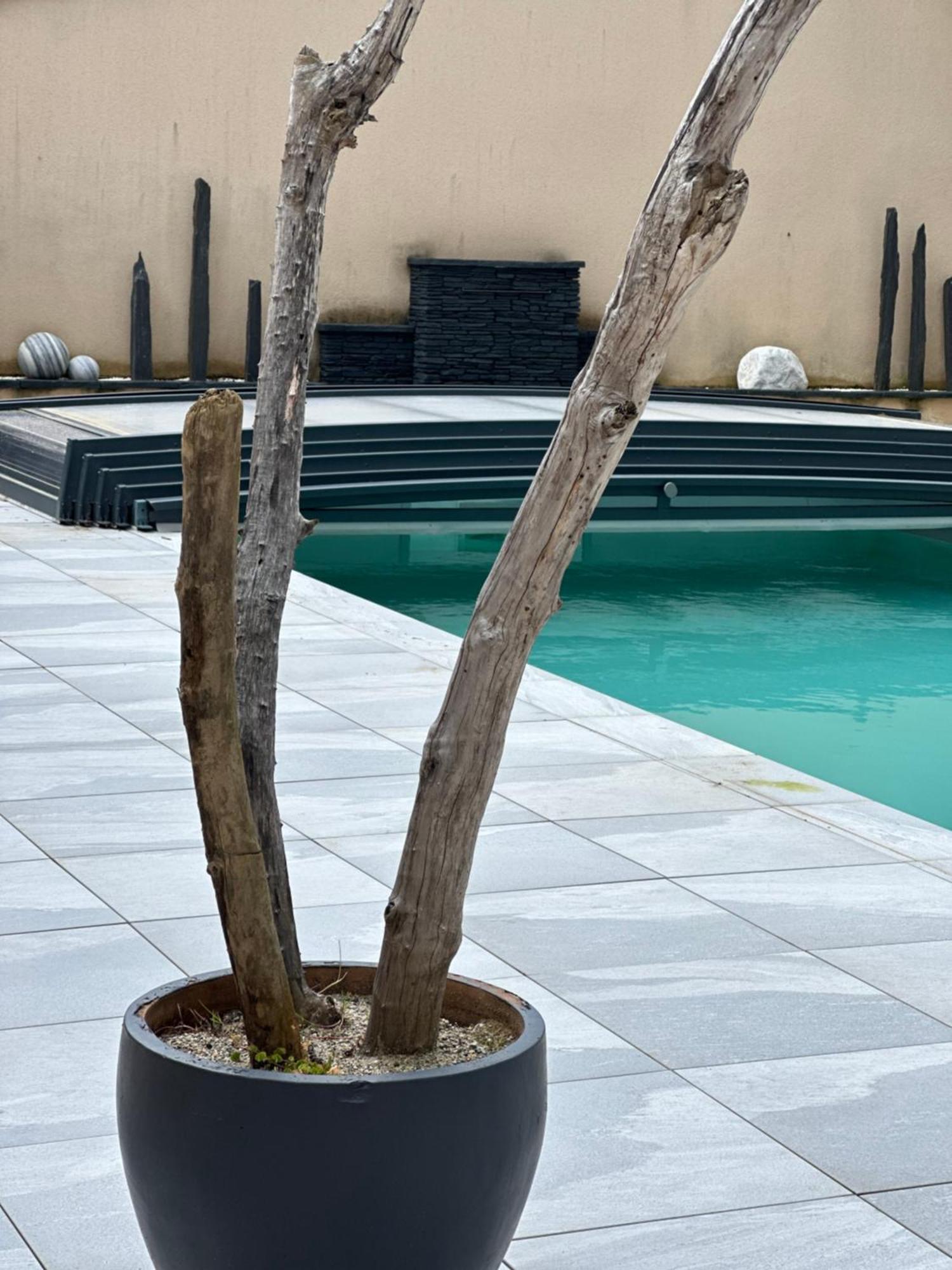 Maison D'Hotes Chic A Beauzelle Ngoại thất bức ảnh